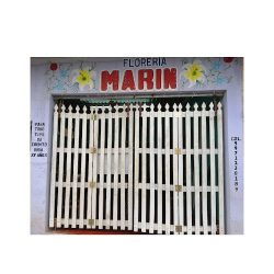 Floreria Marin