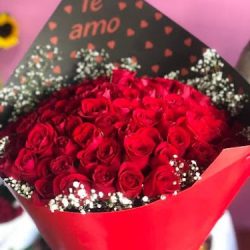 Florería Marisofi