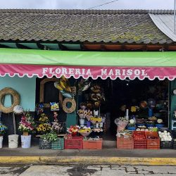 Floreria Marisol