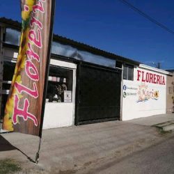 Floreria Marisol
