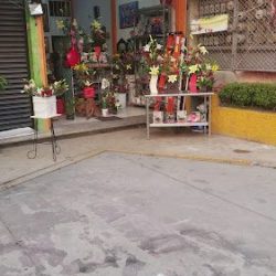 Floreria Marlene