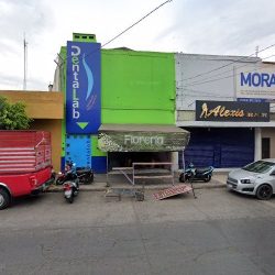 Floreria Martin