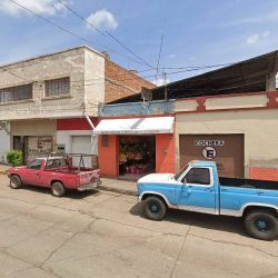Floreria Martin Claveles