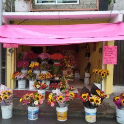 Florería Martínez