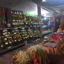 Floreria Martinez-ixkamartz De San Juan Ixcaquixtla