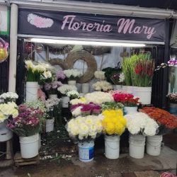 Florería Mary
