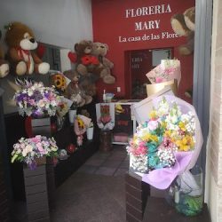 Florería Mary