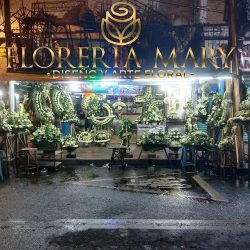 FlorerÍa Mary