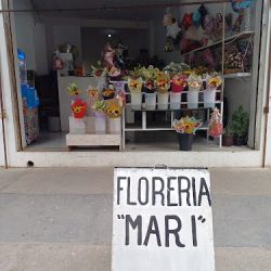 Florería Mary