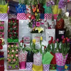 Floreria Mary