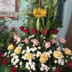 Floreria Mary