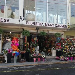 Floreria Mary Carmen