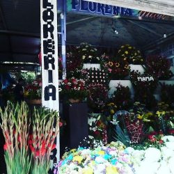 Floreria Mary (wendy Aramburo)
