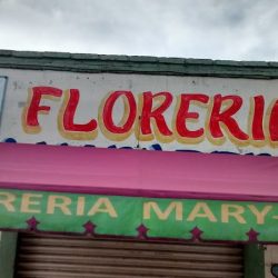 Florería Maryfer