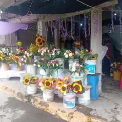 Floreria "marylu"