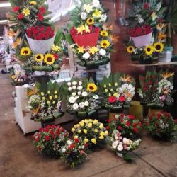 Florería Marzo 09