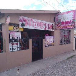 FlorerÍa Max