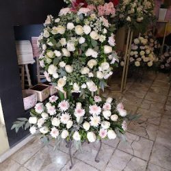 Florería Máxima