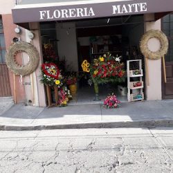 Floreria Mayte