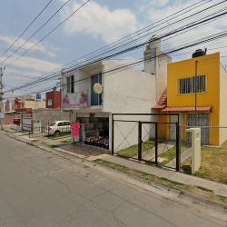 Floreria Meile