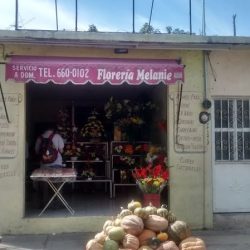 Florería Melanie