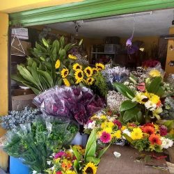 Florería Melchor Ocampo