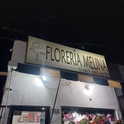 Floreria Melina