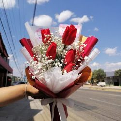 Floreria Melvan
