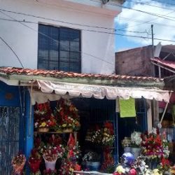 Floreria Mendoza