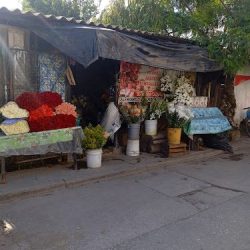 Florería Mendoza