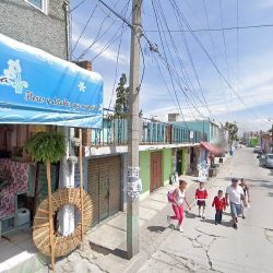 Florería Mendoza