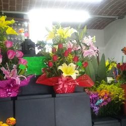 Florería Merit