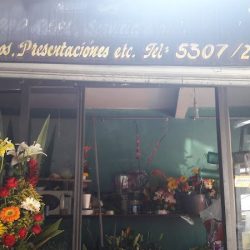 Florería Mesli