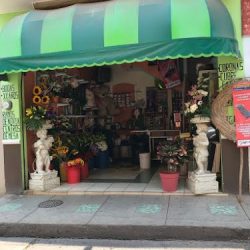 Florería Mexiquito