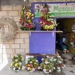 Florería Mezquite - Guanajuato