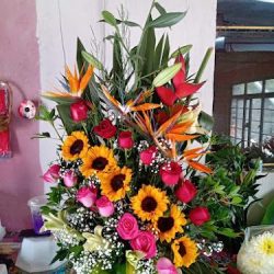 Florería Mg