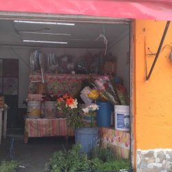 Florería Mi Cariñito