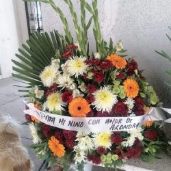 Florería Mi Casita De Las Flores
