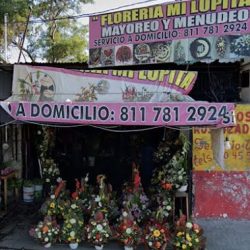 Floreria Mi Lupita