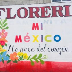 Floreria "mi México"