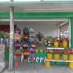 Floreria Mía