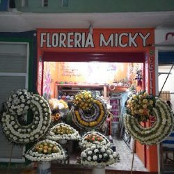 FlorerÍa Micky