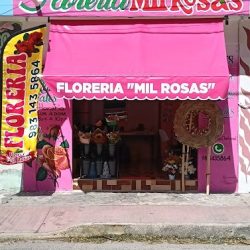 Florería Mil Rosas Chetumal