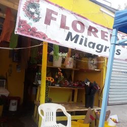 Floreria Milagros