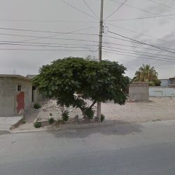 Florería Milagros