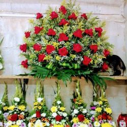 Florería Mili