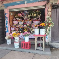 Florería Mily