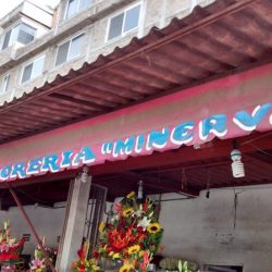 Florería Minerva