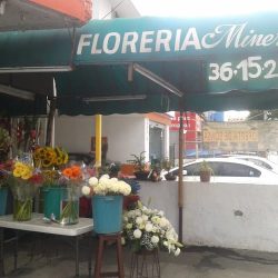 Florería Minerva