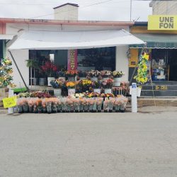 Florería Minerva Panteón Municipal Teoloyucan